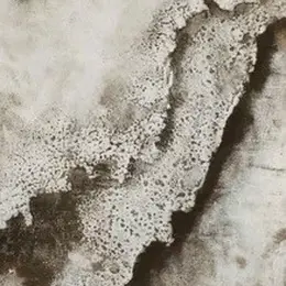 Exposition « Entre ciel et terre »