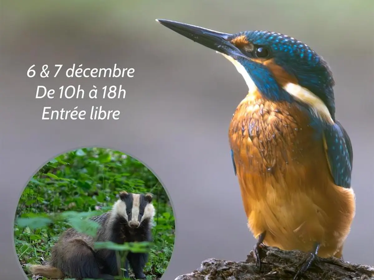 Exposition Entre ciel et terre