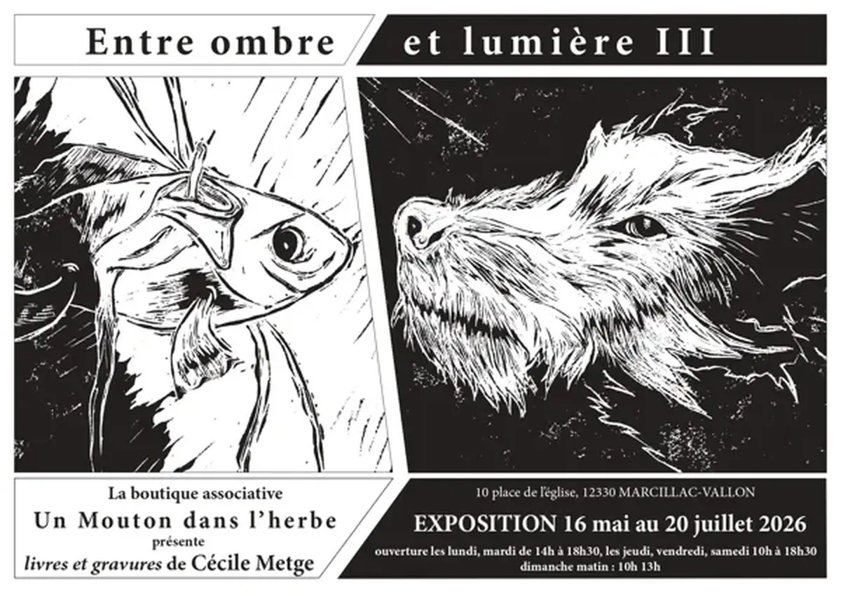Exposition Entre ombre et lumière