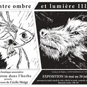 Exposition Entre ombre et lumière