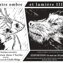 Exposition Entre ombre et lumière