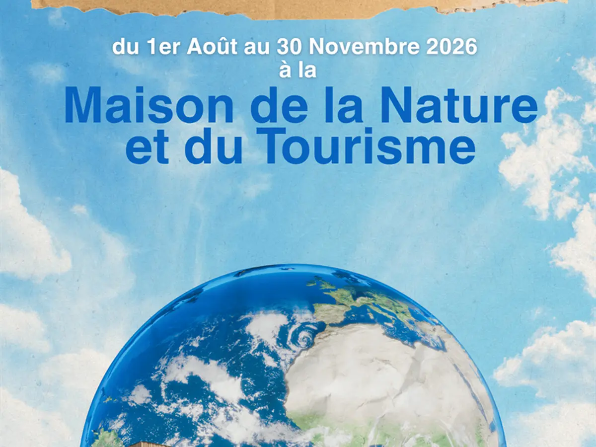 Exposition Environnement