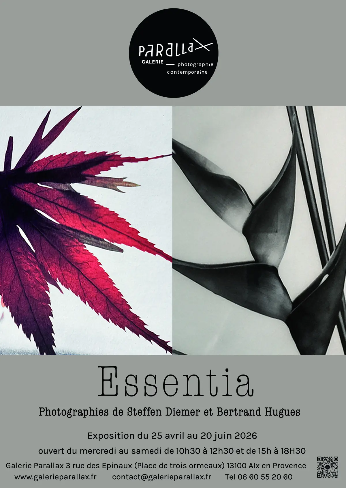 Exposition : Essentia