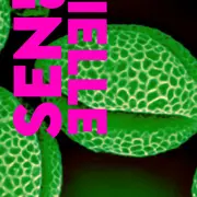 Exposition Essentielle - La Nature Par Les Sens