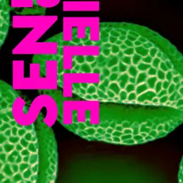 Exposition Essentielle - La Nature Par Les Sens