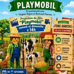 Exposition Et Animations Playmobil