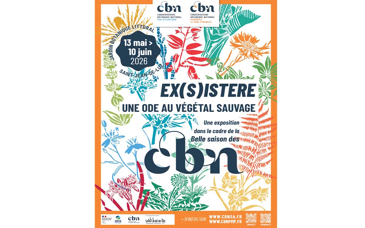Exposition Ex(s)istere, une ode au végétal sauvage