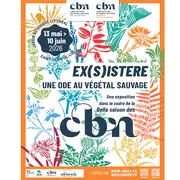Exposition Ex(s)istere, une ode au végétal sauvage