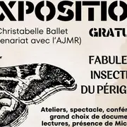 Exposition | Fabuleux insectes du Périgord