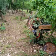 Exposition Faire en Fer