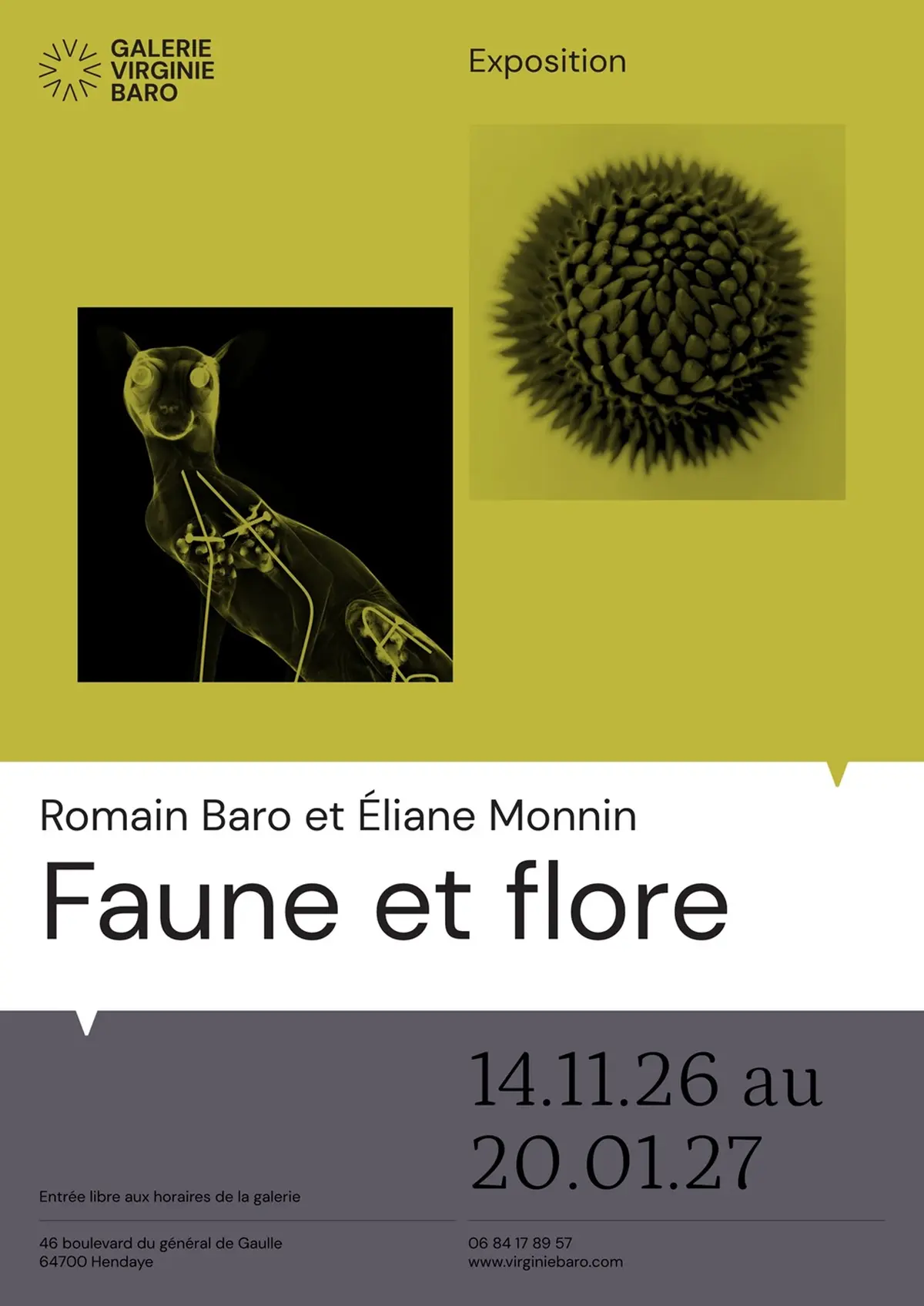 Exposition - Faune & flore