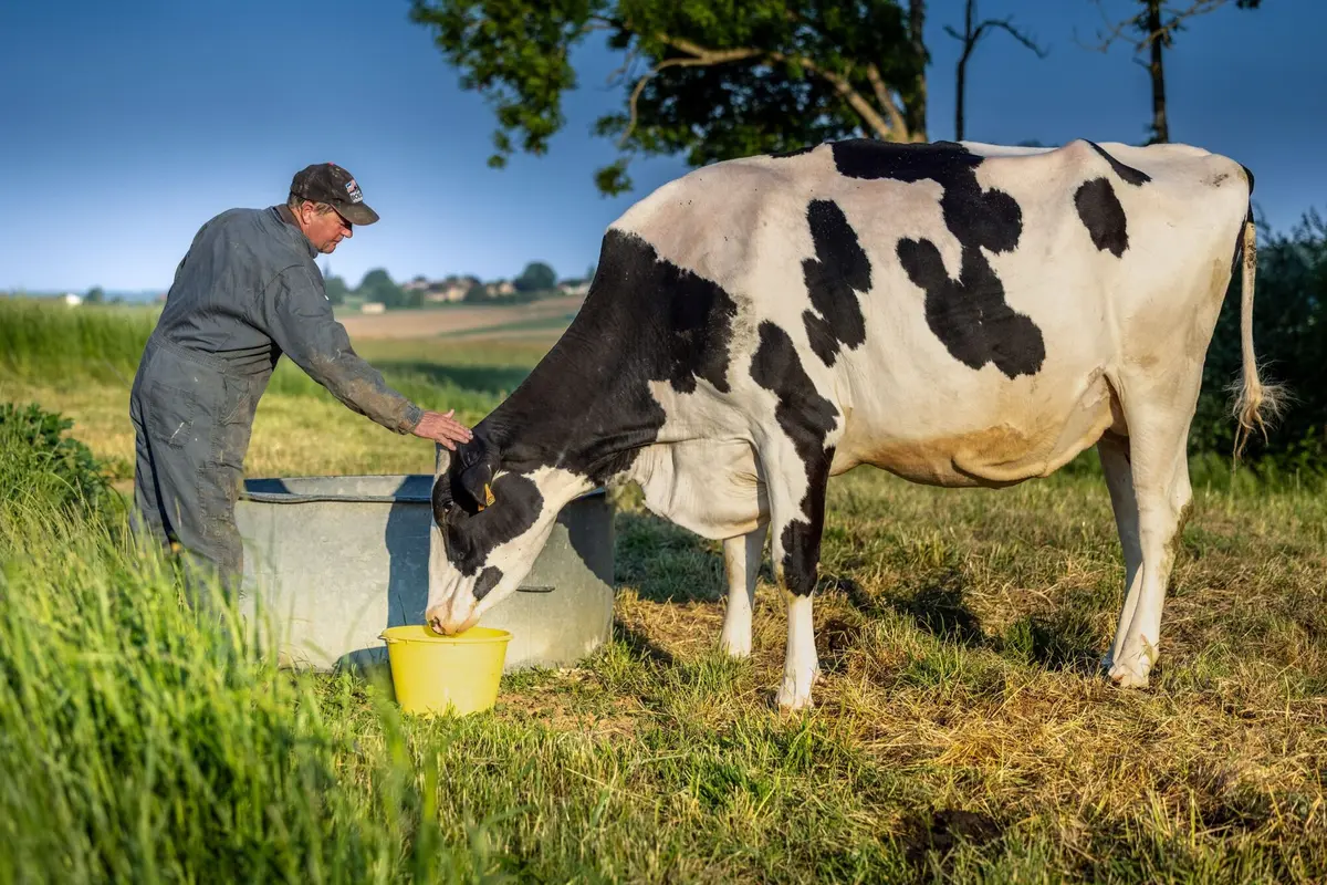 Exposition Fiers de nos éleveurs