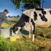 Exposition Fiers de nos éleveurs