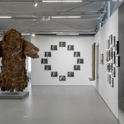 Exposition : Flammes d'Ingeborg Lüscher