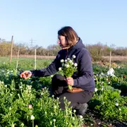 Exposition Fleurs De Saison