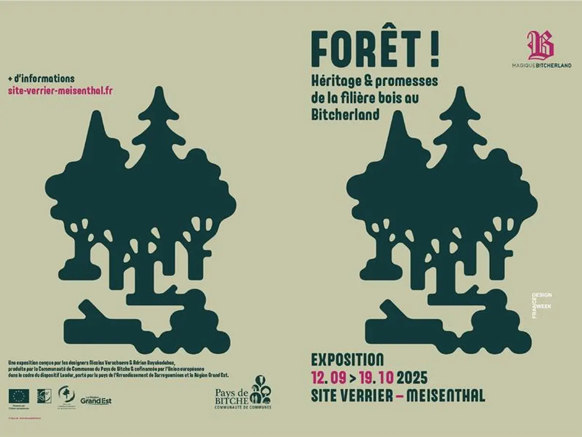 Exposition - Forêt !