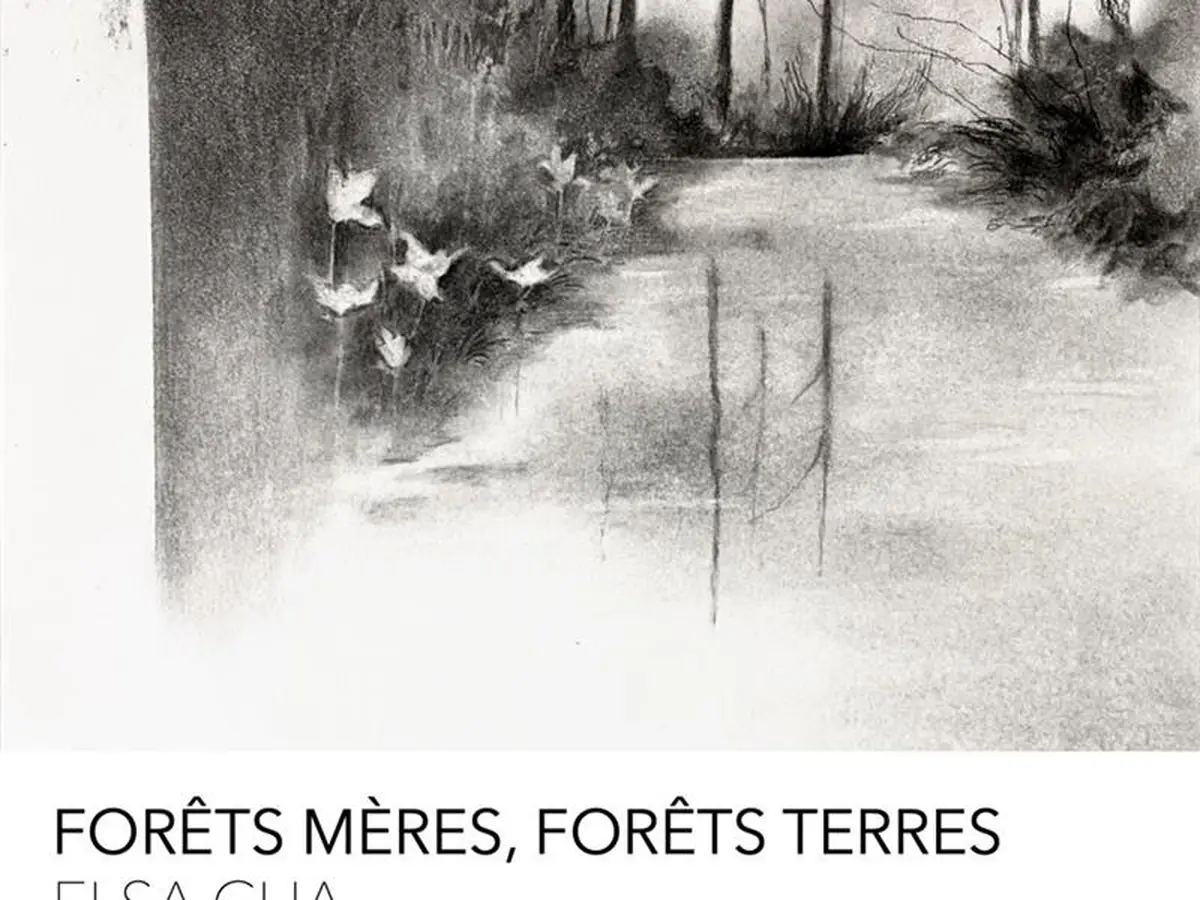 Exposition Forêt mères, forêts terres