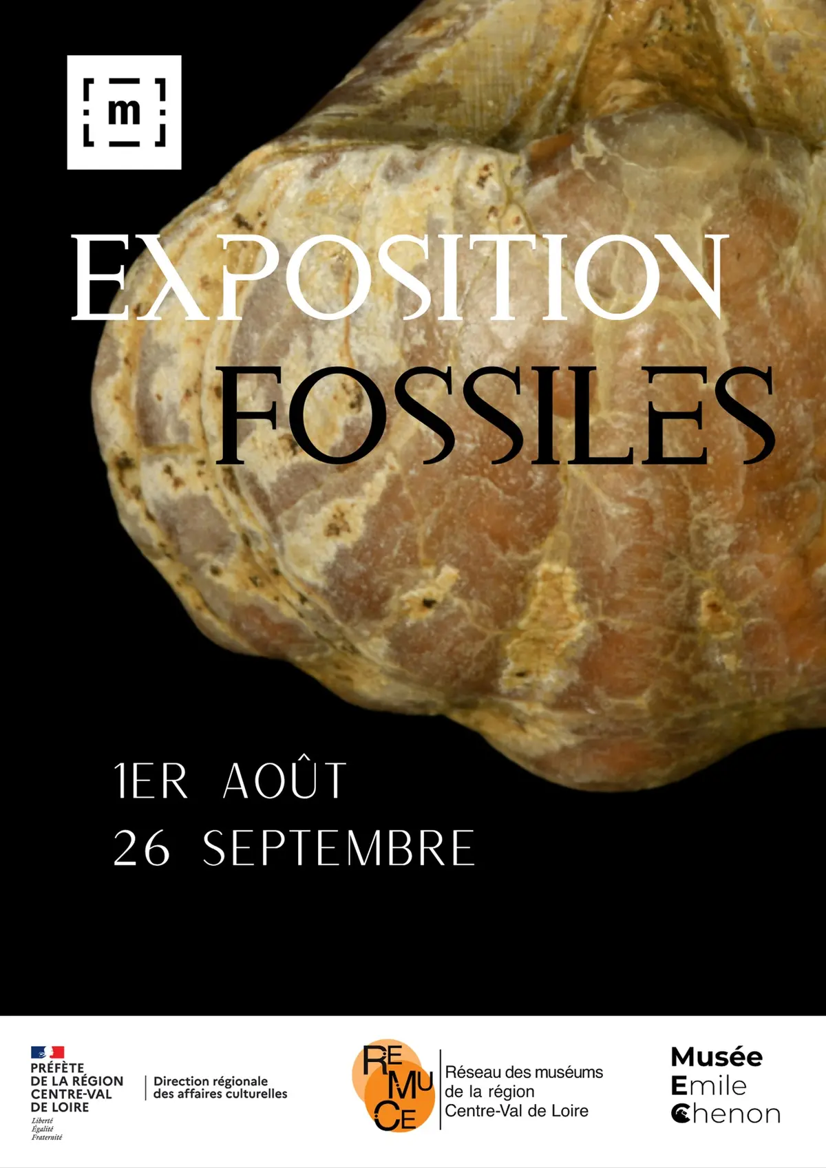 Exposition Fossiles