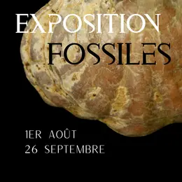 Exposition Fossiles