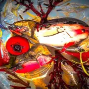 EXPOSITION FRAGMENTS D’IMAGES : photographies de l’imaginaire