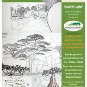 Exposition Francis Hallé