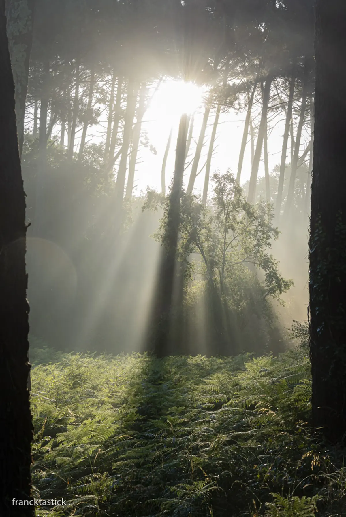 Exposition Francktastick