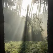 Exposition Francktastick