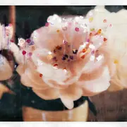 Exposition : François Halard - Ne rien jeter, 33 ans après