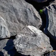 Exposition : Géologie Et Paysages : De La Planète à L’hérault