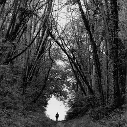 Exposition Histoires d'hommes, de femmes et d'arbres Photographies de Bernard Descamps