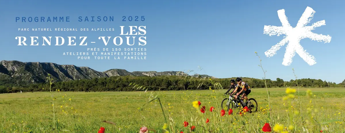 Exposition hors les murs : Les Alpilles par nature