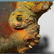Exposition I Alain Durieux & Bruno Boigontier