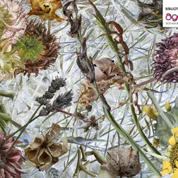 Exposition - Imaginaire végétal de Françoise Courtin