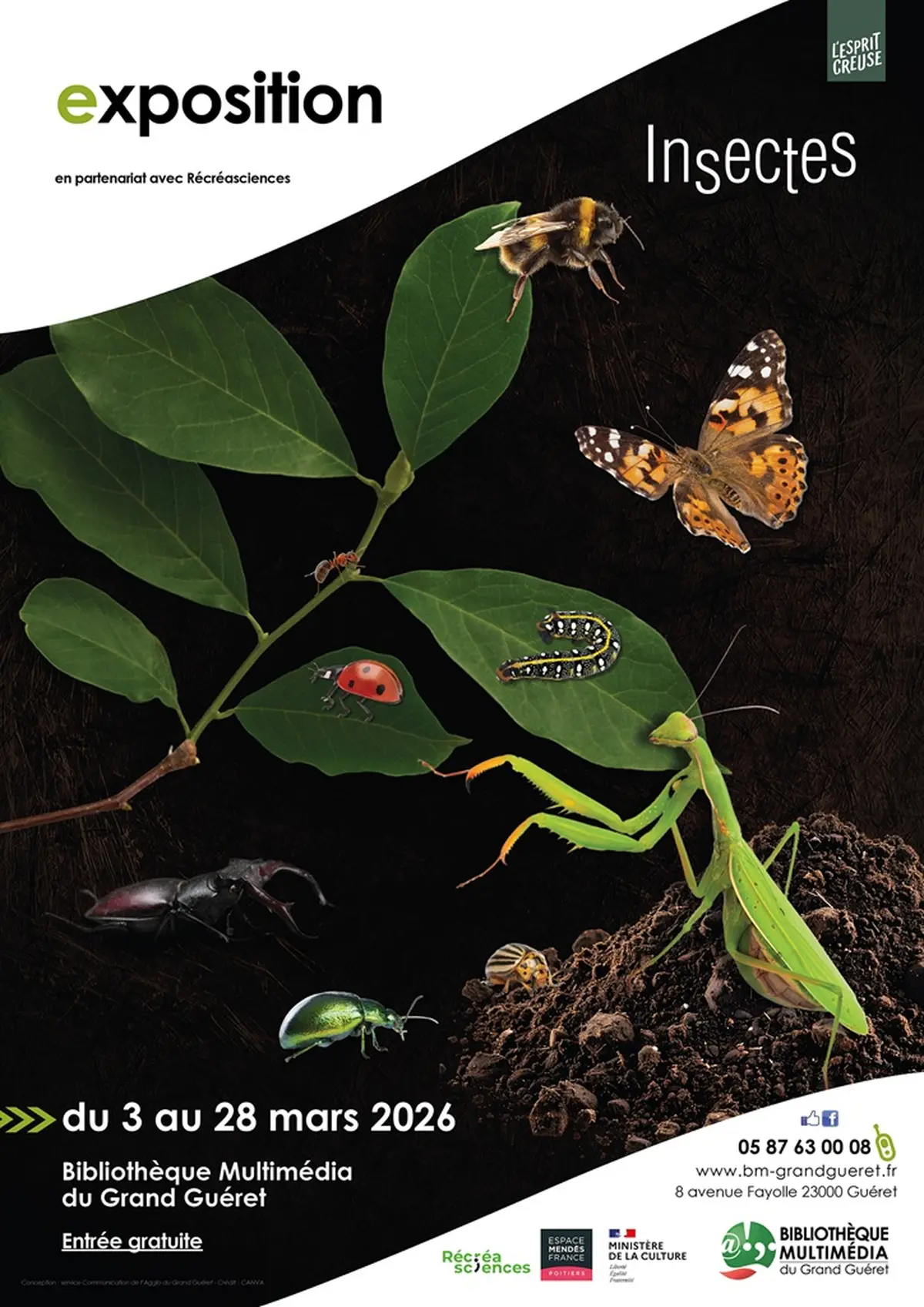 Exposition : Insectes