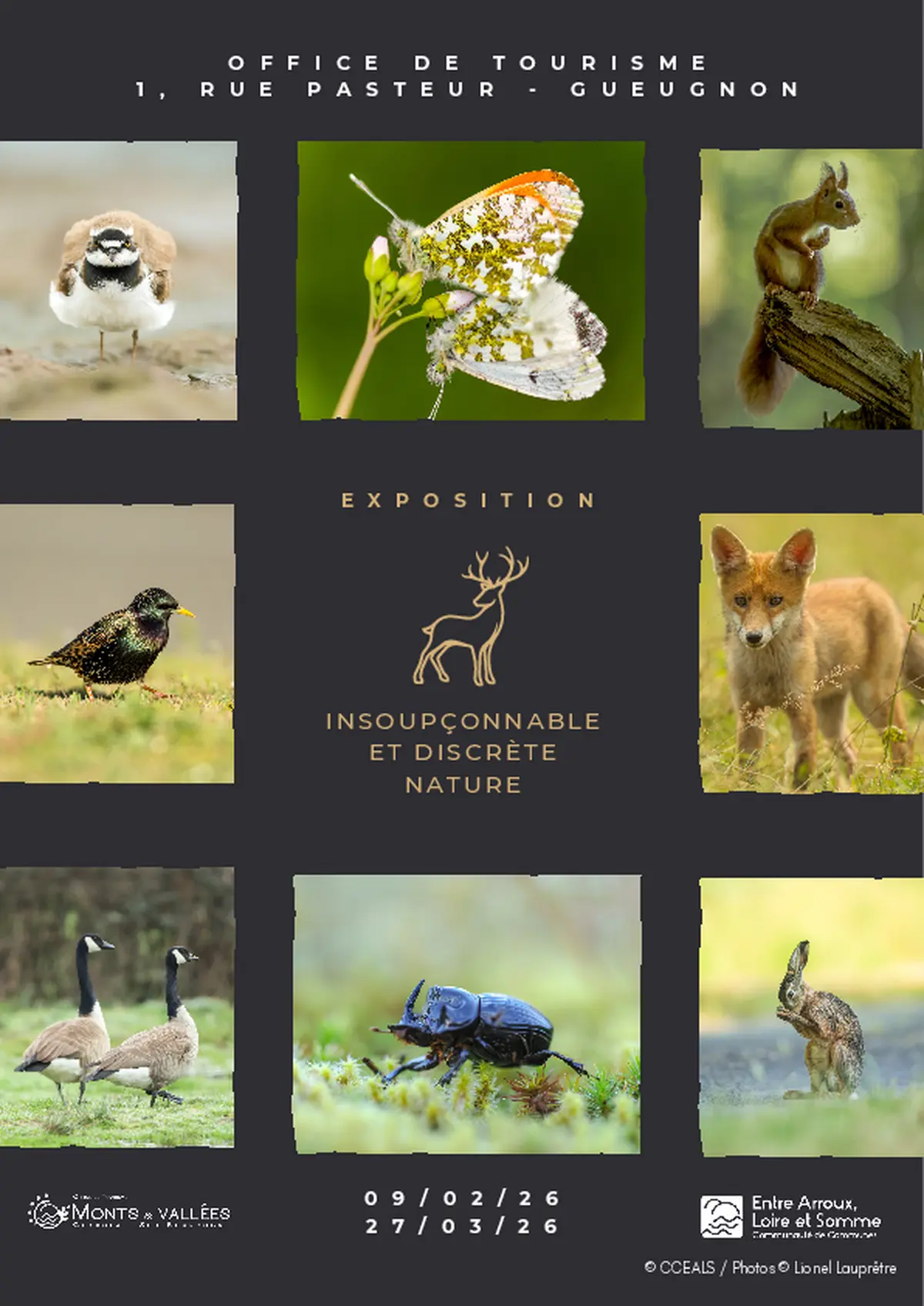 Exposition Insoupçonnable et discrète nature