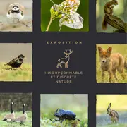 Exposition Insoupçonnable et discrète nature