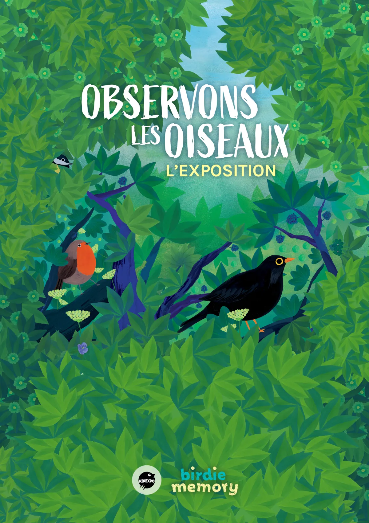 Exposition intéractive : observons les oiseaux