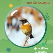 Exposition interactive : « Observons les oiseaux »