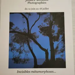 Exposition Invisibles métamorphoses