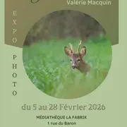 Exposition Je te vois... par Valérie Macquin