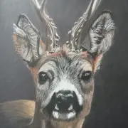 Exposition - Jean-Louis Eymard