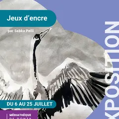 Exposition Jeux d'encre par Sebka Pelli
