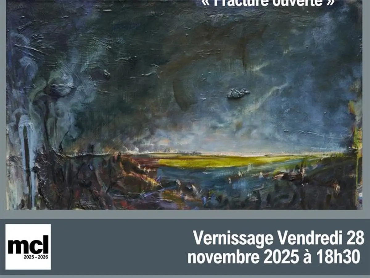 Exposition - Johannes Felder, fracture ouverte »