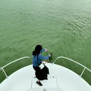 Exposition Julie Rousse