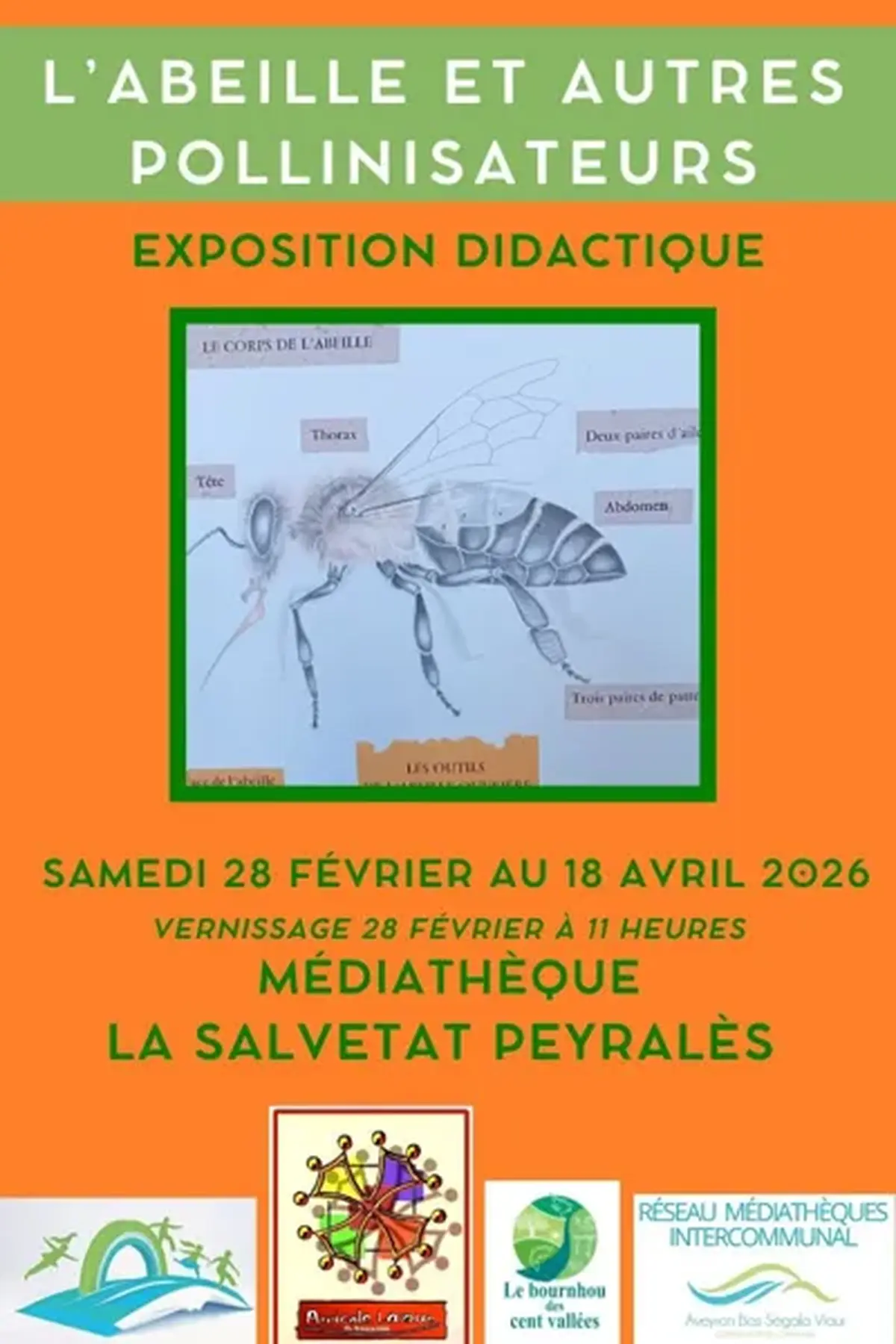 Exposition l’abeille et autres pollinisateurs