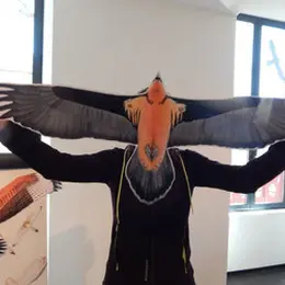 Exposition : L'as-tu vu ? Rapaces en Pyrénées Béarnaises