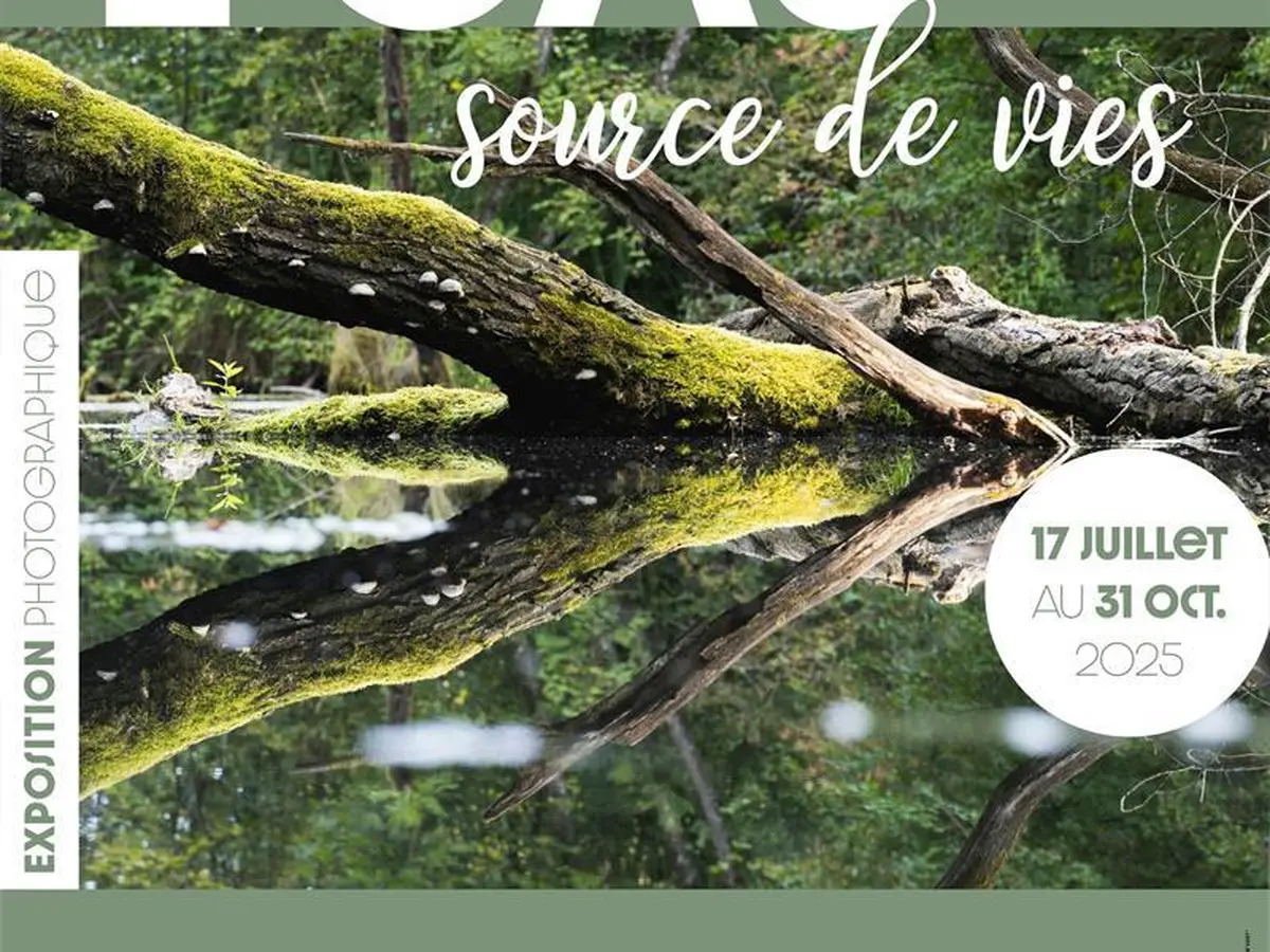 Exposition - L'eau, sources de vie