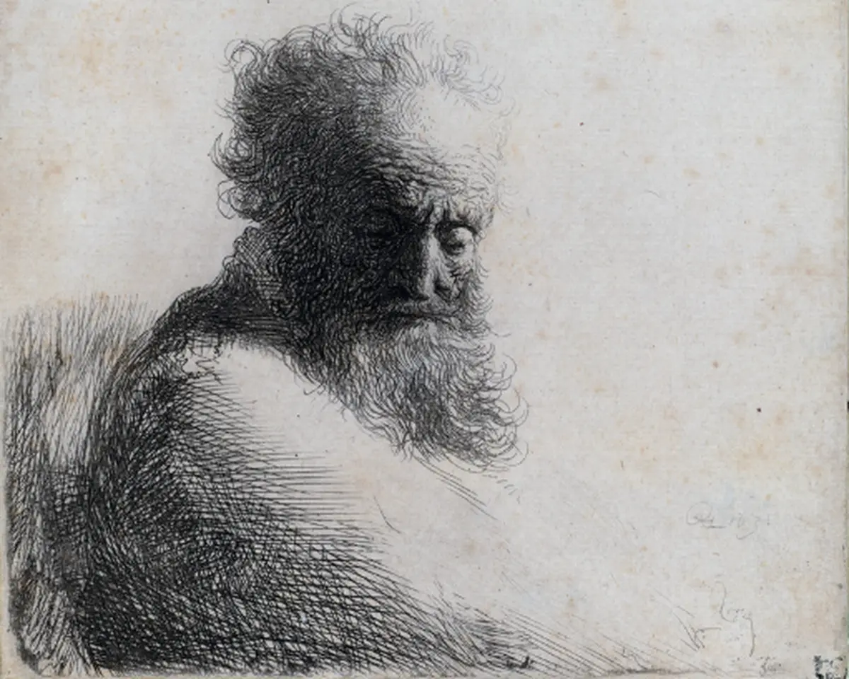 Exposition L'Héritage De Darwin Dans Le Cadre De La Fête De La Science