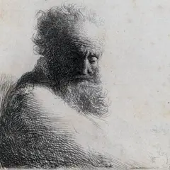 Exposition L'Héritage De Darwin Dans Le Cadre De La Fête De La Science