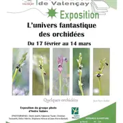 Exposition l'univers fantastique des orchidées